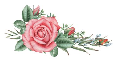 Çiçekler ve yapraklar, beyaz arka plan üzerinde izole suluboya büyüleyici kombinasyonu el boyalı