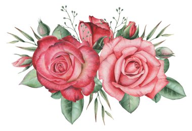 Çiçekler ve yapraklar, beyaz arka plan üzerinde izole suluboya büyüleyici kombinasyonu el boyalı