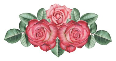 Çiçekler ve yapraklar, beyaz arka plan üzerinde izole suluboya büyüleyici kombinasyonu el boyalı