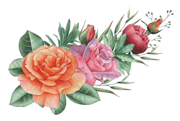 Çiçekler ve yapraklar, beyaz arka plan üzerinde izole suluboya büyüleyici kombinasyonu el boyalı