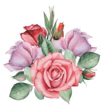 Çiçekler ve yapraklar, beyaz arka plan üzerinde izole suluboya büyüleyici kombinasyonu el boyalı