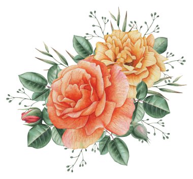 Çiçekler ve yapraklar, beyaz arka plan üzerinde izole suluboya büyüleyici kombinasyonu el boyalı