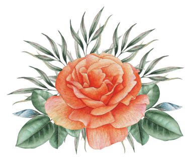 Çiçekler ve yapraklar, beyaz arka plan üzerinde izole suluboya büyüleyici kombinasyonu el boyalı