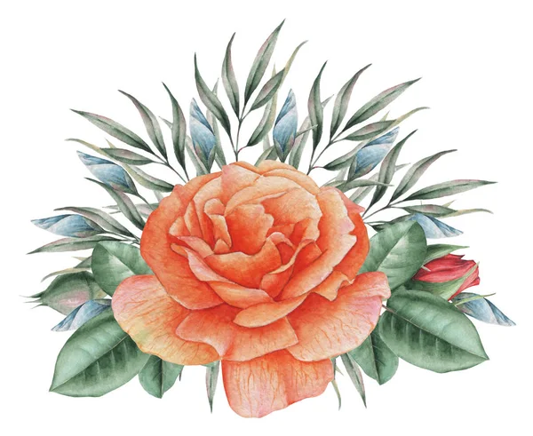 Çiçekler ve yapraklar, beyaz arka plan üzerinde izole suluboya büyüleyici kombinasyonu el boyalı