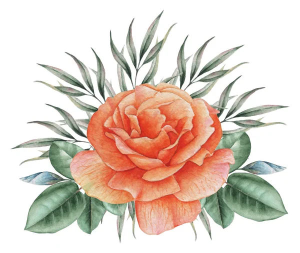 Çiçekler ve yapraklar, beyaz arka plan üzerinde izole suluboya büyüleyici kombinasyonu el boyalı