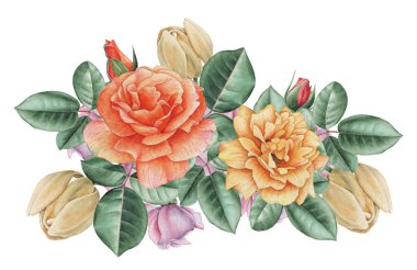 Çiçekler ve yapraklar, beyaz arka plan üzerinde izole suluboya büyüleyici kombinasyonu el boyalı