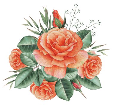 Çiçekler ve yapraklar, beyaz arka plan üzerinde izole suluboya büyüleyici kombinasyonu el boyalı