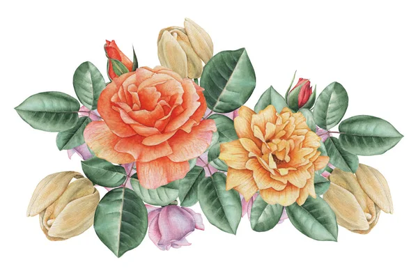 Çiçekler ve yapraklar, beyaz arka plan üzerinde izole suluboya büyüleyici kombinasyonu el boyalı