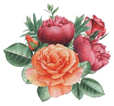 Çiçekler ve yapraklar, beyaz arka plan üzerinde izole suluboya büyüleyici kombinasyonu el boyalı