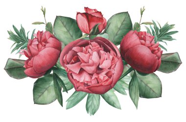 Vektör çizim çiçek ve yaprak, beyaz arka plan üzerinde izole suluboya büyüleyici kombinasyonu