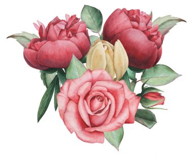 Vektör çizim çiçek ve yaprak, beyaz arka plan üzerinde izole suluboya büyüleyici kombinasyonu