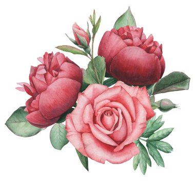 Vektör çizim çiçek ve yaprak, beyaz arka plan üzerinde izole suluboya büyüleyici kombinasyonu