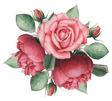 Vektör çizim çiçek ve yaprak, beyaz arka plan üzerinde izole suluboya büyüleyici kombinasyonu