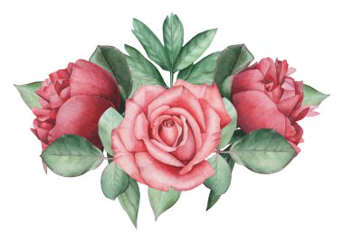 Vektör çizim çiçek ve yaprak, beyaz arka plan üzerinde izole suluboya büyüleyici kombinasyonu