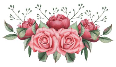 Vektör çizim çiçek ve yaprak, beyaz arka plan üzerinde izole suluboya büyüleyici kombinasyonu