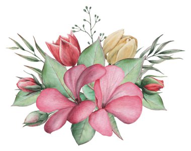 Vektör çizim çiçek ve yaprak, beyaz arka plan üzerinde izole suluboya büyüleyici kombinasyonu