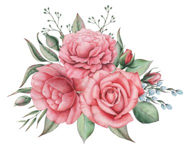 Vektör çizim çiçek ve yaprak, beyaz arka plan üzerinde izole suluboya büyüleyici kombinasyonu