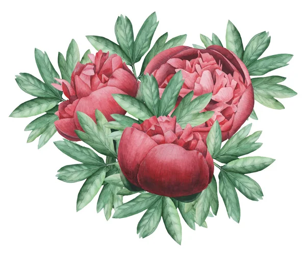 Vektör çizim çiçek ve yaprak, beyaz arka plan üzerinde izole suluboya büyüleyici kombinasyonu