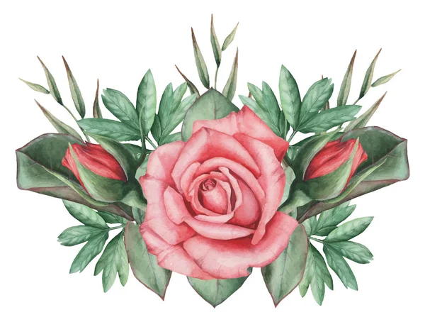 Ilustración vectorial de acuarela encantadora combinación de flores y hojas, aislado sobre fondo blanco — Archivo Imágenes Vectoriales