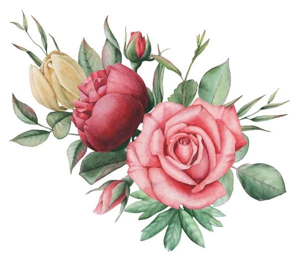 Vektör çizim çiçek ve yaprak, beyaz arka plan üzerinde izole suluboya büyüleyici kombinasyonu