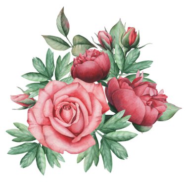 Vektör çizim çiçek ve yaprak, beyaz arka plan üzerinde izole suluboya büyüleyici kombinasyonu