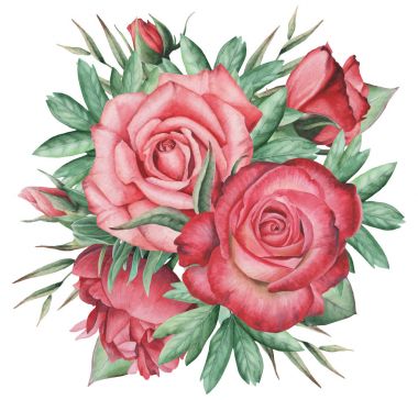 Vektör çizim çiçek ve yaprak, beyaz arka plan üzerinde izole suluboya büyüleyici kombinasyonu