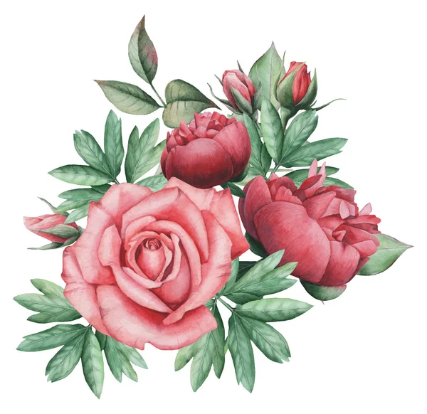 Vektör çizim çiçek ve yaprak, beyaz arka plan üzerinde izole suluboya büyüleyici kombinasyonu