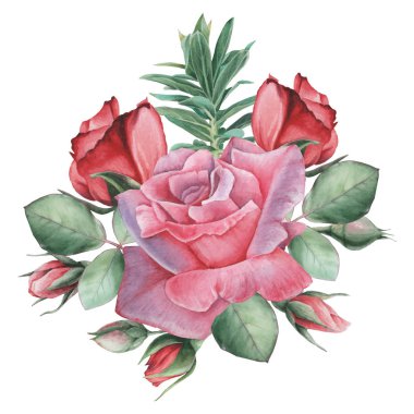 Vektör çizim çiçek ve yaprak, beyaz arka plan üzerinde izole suluboya büyüleyici kombinasyonu