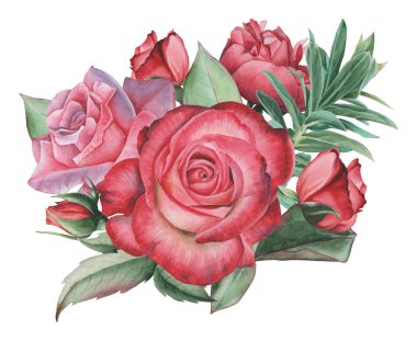 Vektör çizim çiçek ve yaprak, beyaz arka plan üzerinde izole suluboya büyüleyici kombinasyonu