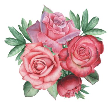 Vektör çizim çiçek ve yaprak, beyaz arka plan üzerinde izole suluboya büyüleyici kombinasyonu