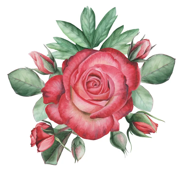 Vektör çizim çiçek ve yaprak, beyaz arka plan üzerinde izole suluboya büyüleyici kombinasyonu