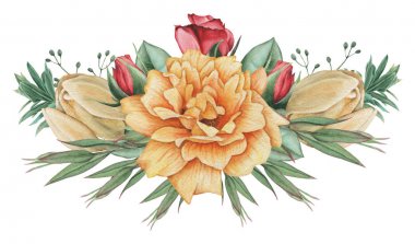 Çiçekler ve yapraklar, beyaz arka plan üzerinde izole suluboya büyüleyici kombinasyonu el boyalı