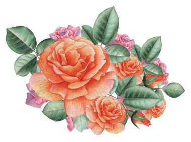 Çiçekler ve yapraklar, beyaz arka plan üzerinde izole suluboya büyüleyici kombinasyonu el boyalı