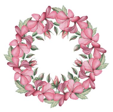 Suluboya çelenk çiçek ve yaprakları, beyaz arka plan üzerinde izole el boyalı