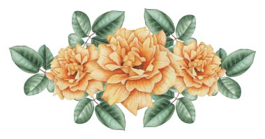 Çiçekler ve yapraklar, beyaz arka plan üzerinde izole suluboya büyüleyici kombinasyonu el boyalı