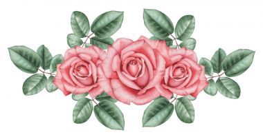 Çiçekler ve yapraklar, beyaz arka plan üzerinde izole suluboya büyüleyici kombinasyonu el boyalı