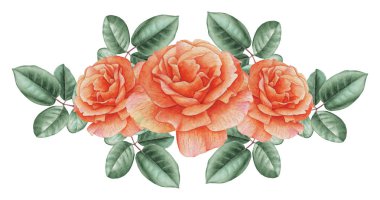 Çiçekler ve yapraklar, beyaz arka plan üzerinde izole suluboya büyüleyici kombinasyonu el boyalı