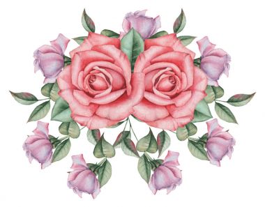 Çiçekler ve yapraklar, beyaz arka plan üzerinde izole suluboya büyüleyici kombinasyonu el boyalı