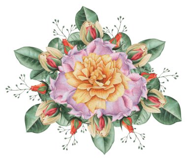 Çiçekler ve yapraklar, beyaz arka plan üzerinde izole suluboya büyüleyici kombinasyonu el boyalı