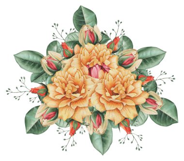 Çiçekler ve yapraklar, beyaz arka plan üzerinde izole suluboya büyüleyici kombinasyonu el boyalı