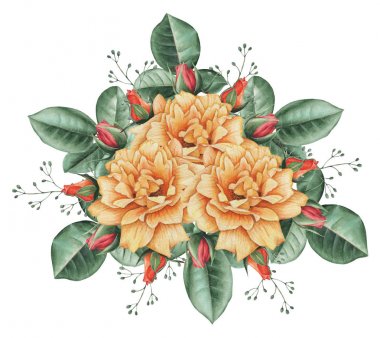 Çiçekler ve yapraklar, beyaz arka plan üzerinde izole suluboya büyüleyici kombinasyonu el boyalı