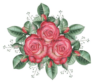 Çiçekler ve yapraklar, beyaz arka plan üzerinde izole suluboya büyüleyici kombinasyonu el boyalı