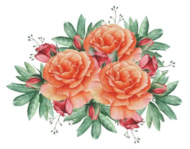 Çiçekler ve yapraklar, beyaz arka plan üzerinde izole suluboya büyüleyici kombinasyonu el boyalı