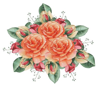 Çiçekler ve yapraklar, beyaz arka plan üzerinde izole suluboya büyüleyici kombinasyonu el boyalı