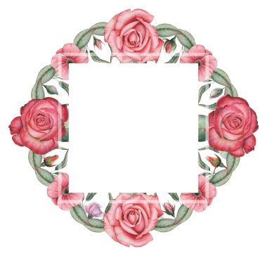 Çiçekler ve yapraklar, beyaz arka plan üzerinde izole suluboya büyüleyici kombinasyonu el boyalı, düğün, çerçeve, tırnak, desen, tebrik kartı, logo, Davetiyeler, yazı vb. için mükemmel