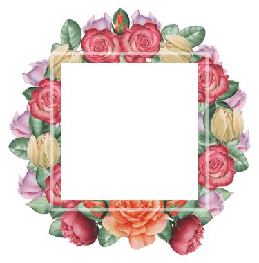 Çiçekler ve yapraklar, beyaz arka plan üzerinde izole suluboya büyüleyici kombinasyonu el boyalı, düğün, çerçeve, tırnak, desen, tebrik kartı, logo, Davetiyeler, yazı vb. için mükemmel