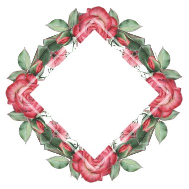 Çiçekler ve yapraklar, beyaz arka plan üzerinde izole suluboya büyüleyici kombinasyonu el boyalı, düğün, çerçeve, tırnak, desen, tebrik kartı, logo, Davetiyeler, yazı vb. için mükemmel