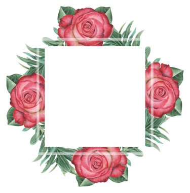 Çiçekler ve yapraklar, beyaz arka plan üzerinde izole suluboya büyüleyici kombinasyonu el boyalı, düğün, çerçeve, tırnak, desen, tebrik kartı, logo, Davetiyeler, yazı vb. için mükemmel