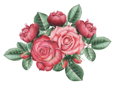 Çiçekler ve yapraklar, beyaz arka plan üzerinde izole suluboya büyüleyici kombinasyonu el boyalı