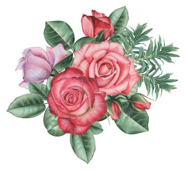 Çiçekler ve yapraklar, beyaz arka plan üzerinde izole suluboya büyüleyici kombinasyonu el boyalı